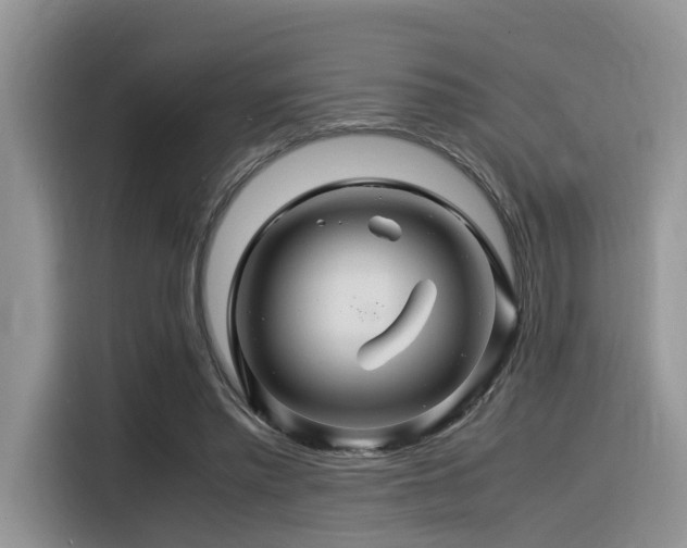 X0000116370397200912021157