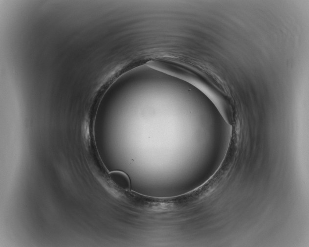 X0000116370398200912021157