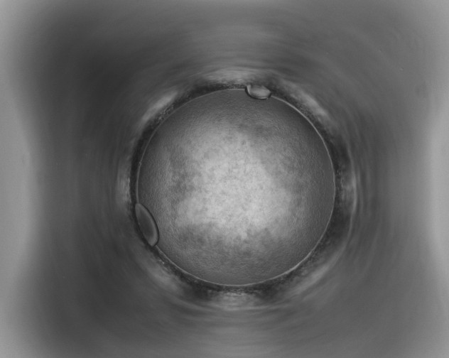 X0000116370399200912021157