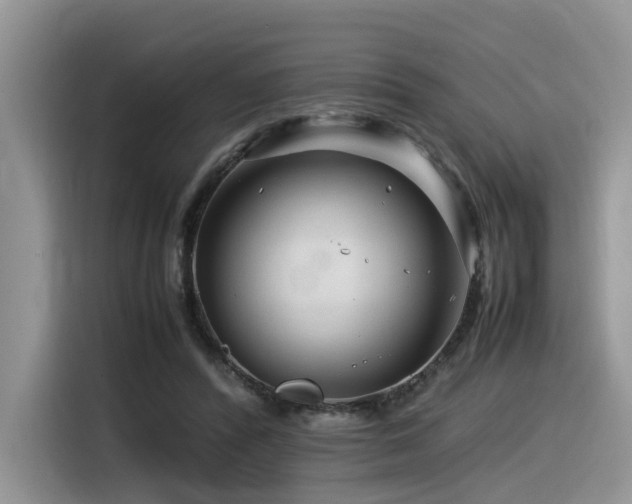 X0000116370400200912021157