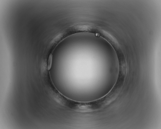 X0000116370407200912021157