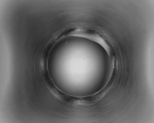 X0000116370408200912021157