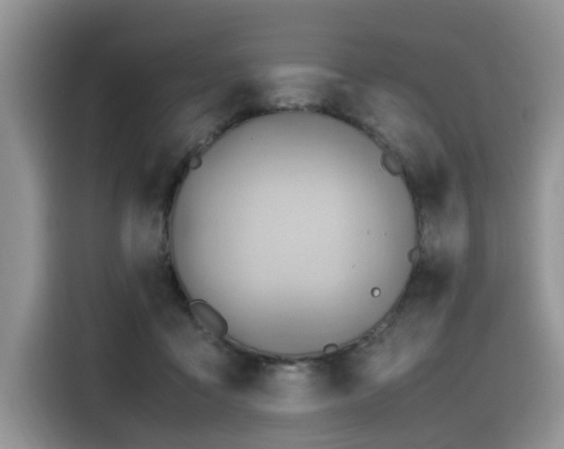 X0000116370411200912021157