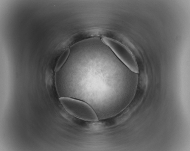 X0000116370413200912021157