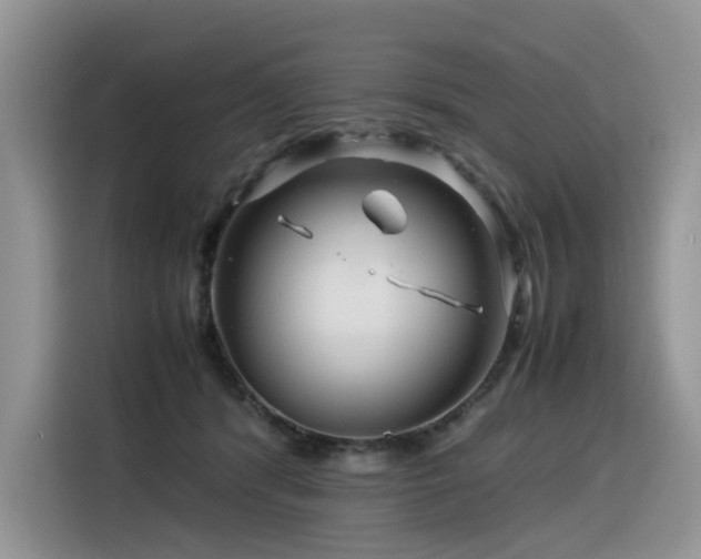 X0000116370416200912021157