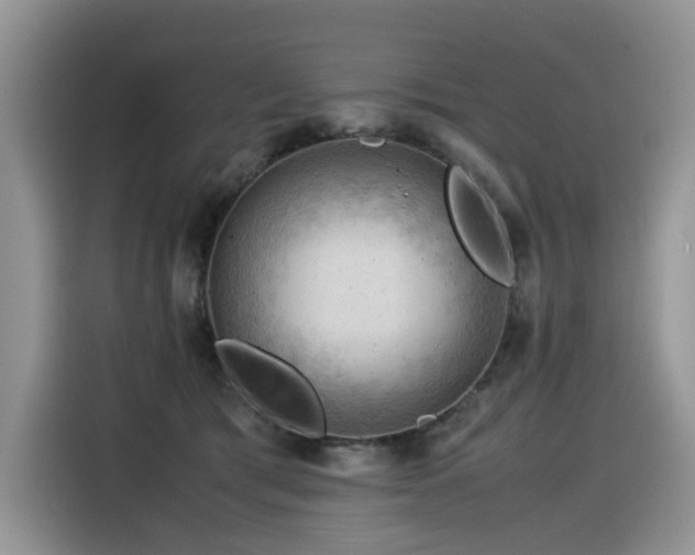X0000116370417200912021157
