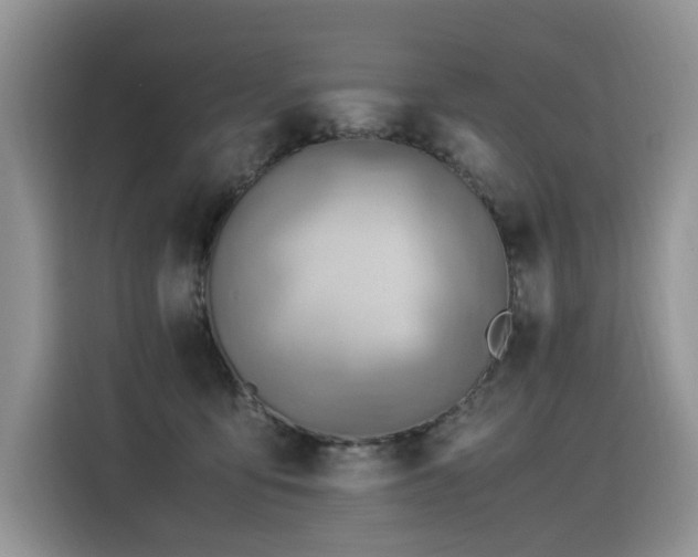 X0000116370419200912021157