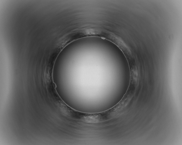 X0000116370422200912021157