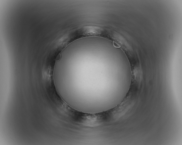 X0000116370423200912021157
