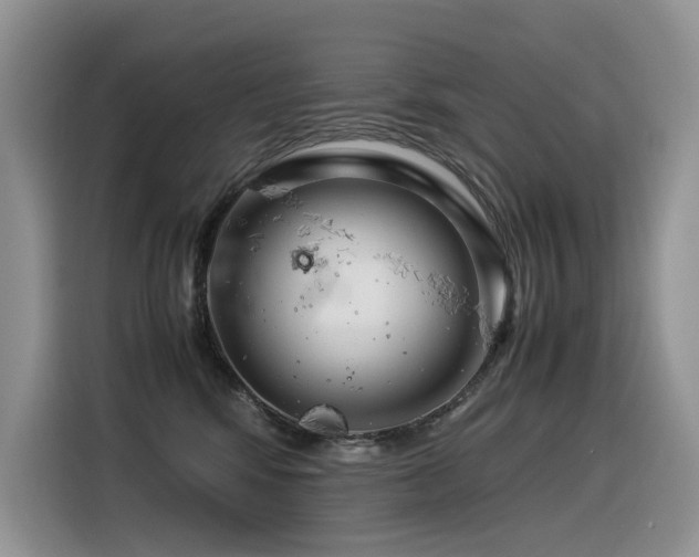 X0000116370424200912021157