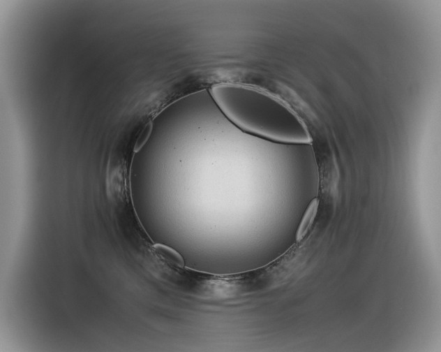 X0000116370425200912021157