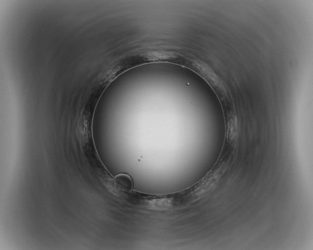 X0000116370426200912021157