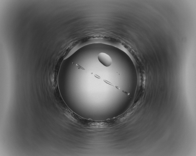 X0000116370428200912021157