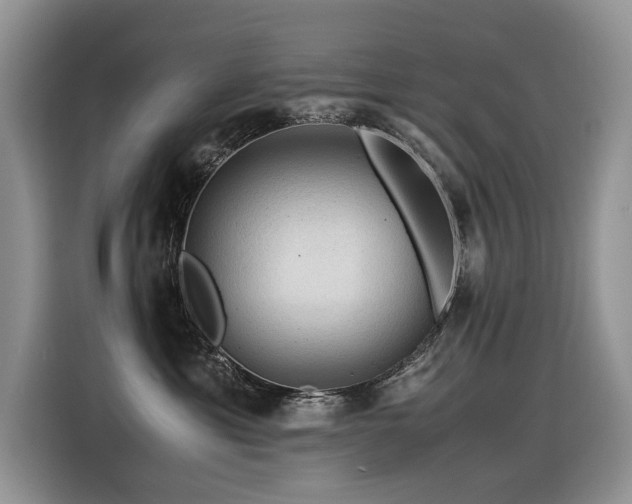 X0000116370429200912021157