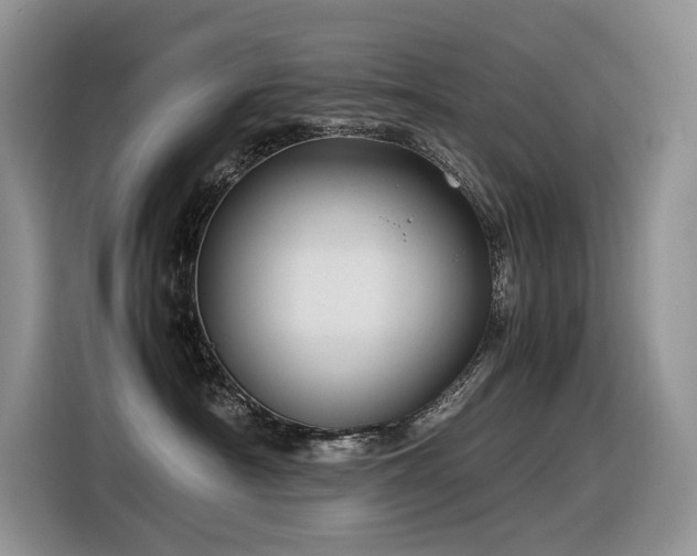 X0000116370430200912021157