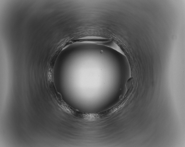X0000116370432200912021157
