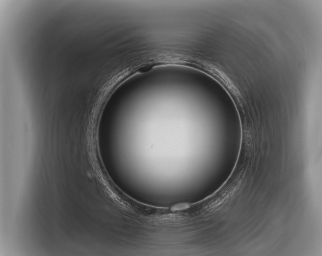X0000116370433200912021156