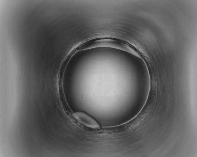X0000116370434200912021156