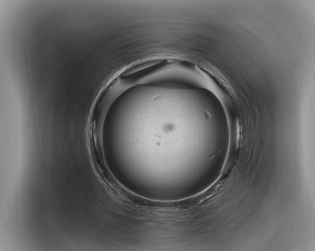 X0000116370436200912021156