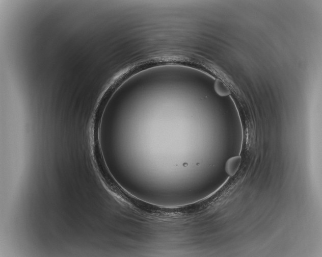 X0000116370438200912021156
