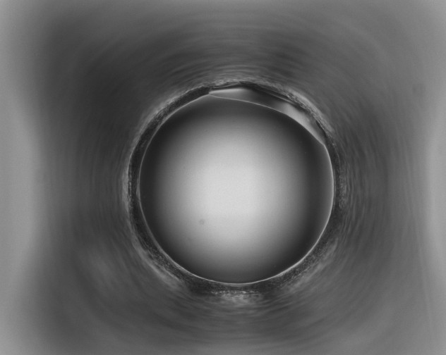 X0000116370439200912021156