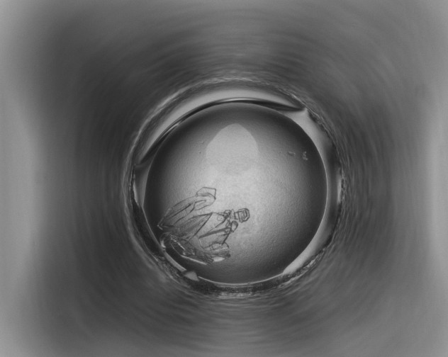 X0000116370440200912021156