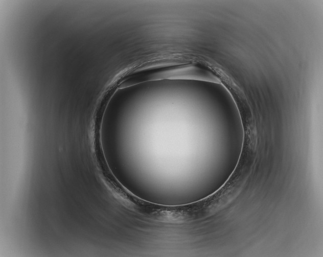 X0000116370442200912021156