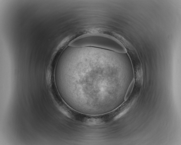 X0000116370444200912021156