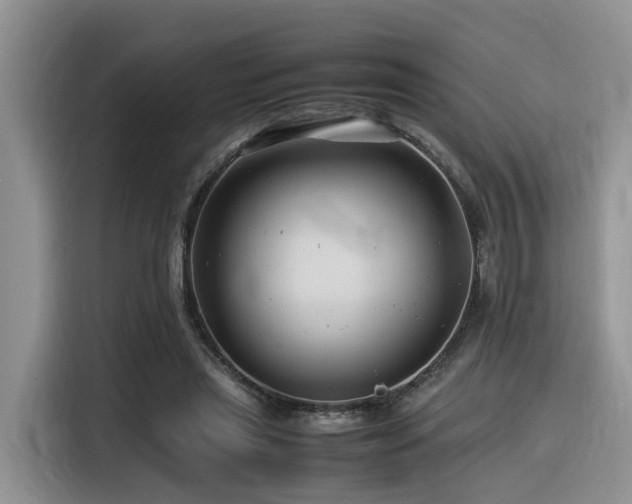 X0000116370445200912021157