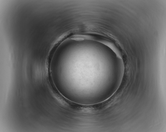 X0000116370446200912021157