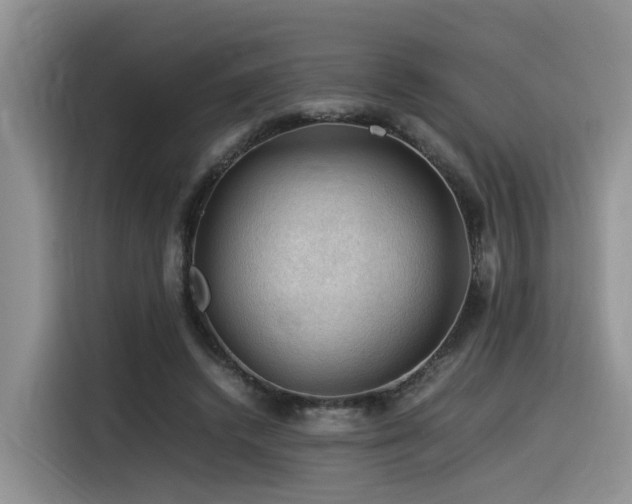 X0000116370448200912021157