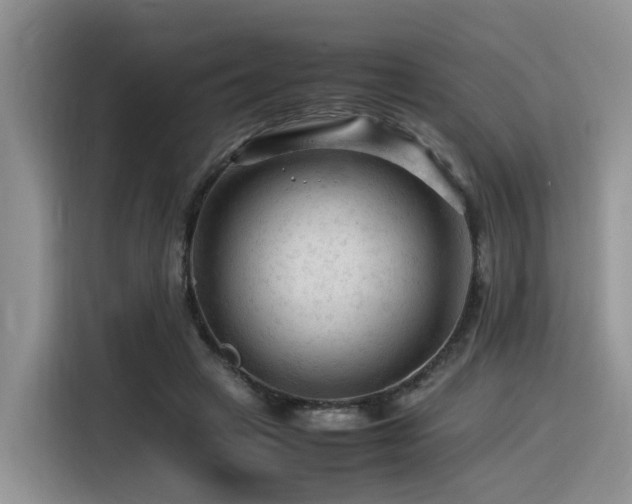X0000116370449200912021157