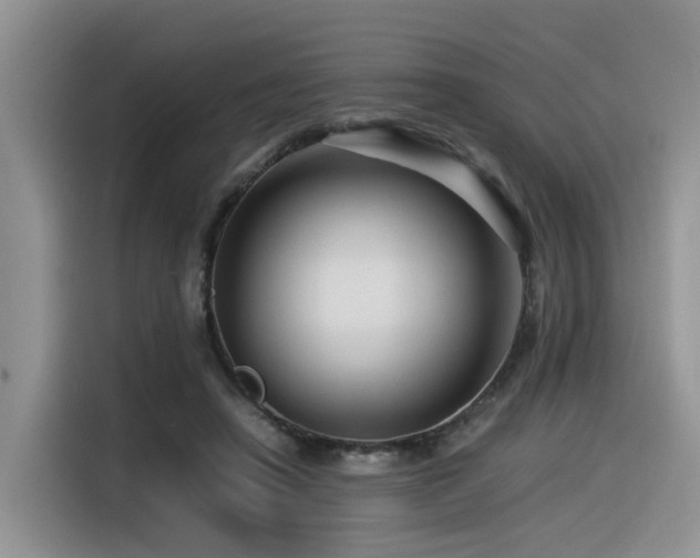 X0000116370450200912021157