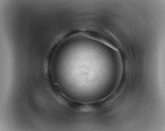 X0000116370451200912021157