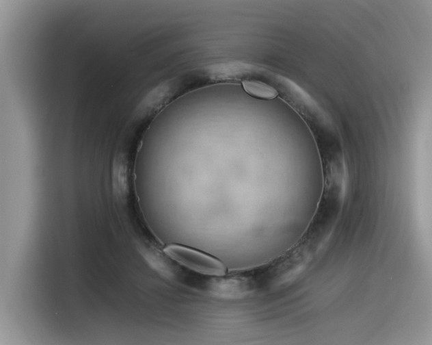 X0000116370452200912021157