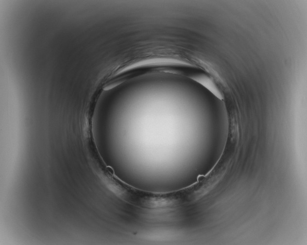 X0000116370453200912021157