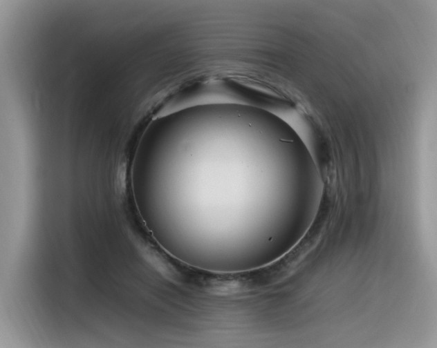 X0000116370454200912021157