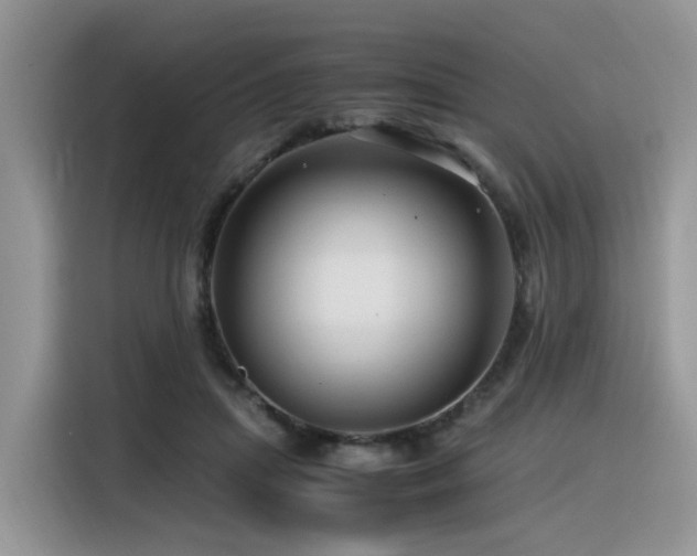 X0000116370455200912021157
