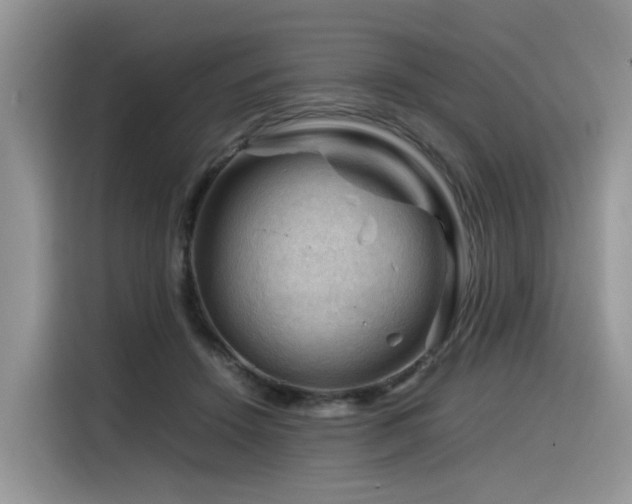X0000116370456200912021157