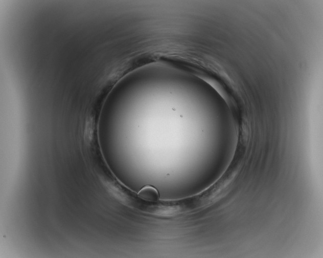 X0000116370458200912021157