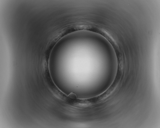 X0000116370459200912021157