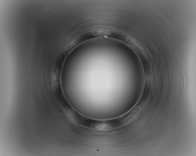 X0000116370460200912021157