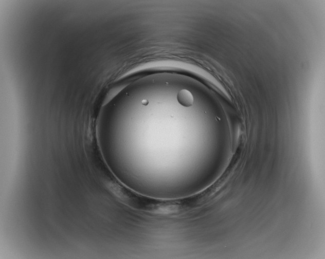 X0000116370462200912021157