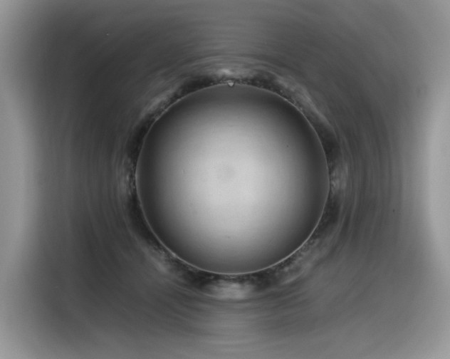 X0000116370464200912021157