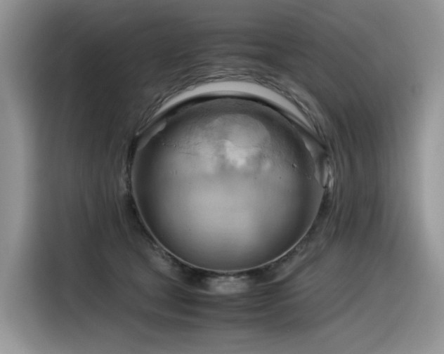 X0000116370465200912021157