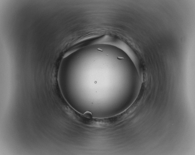 X0000116370466200912021157