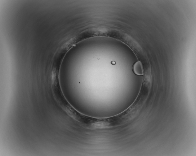 X0000116370468200912021157