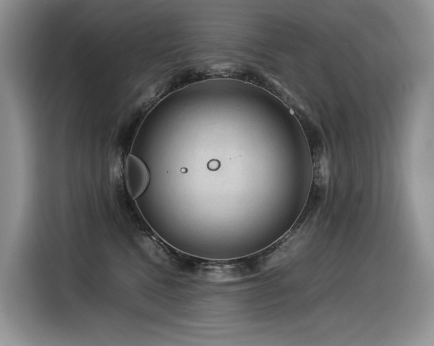 X0000116370472200912021157