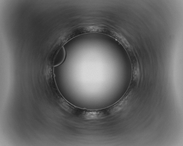 X0000116370473200912021157