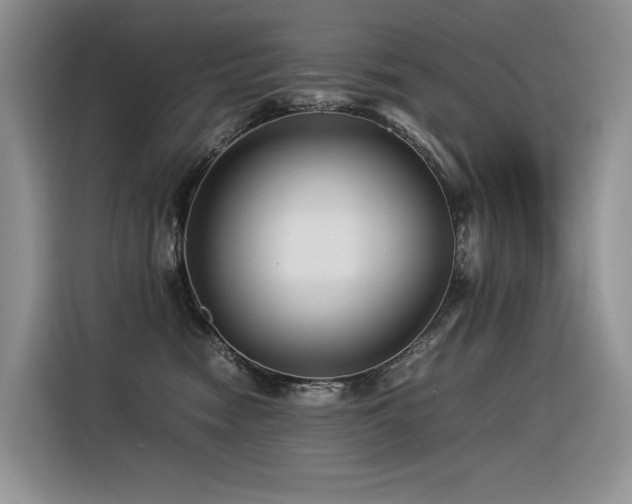 X0000116370474200912021157